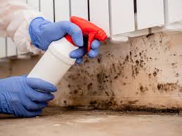 Professional Mold Inspection in Keeseville, NY